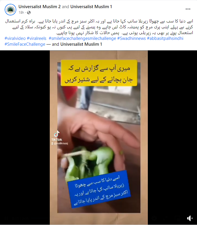 سبز مرچ میں دنیا کا سب سے چھوٹا اور زہریلا سانپ نہیں ہے بلکہ ایک کیڑا ہے۔
