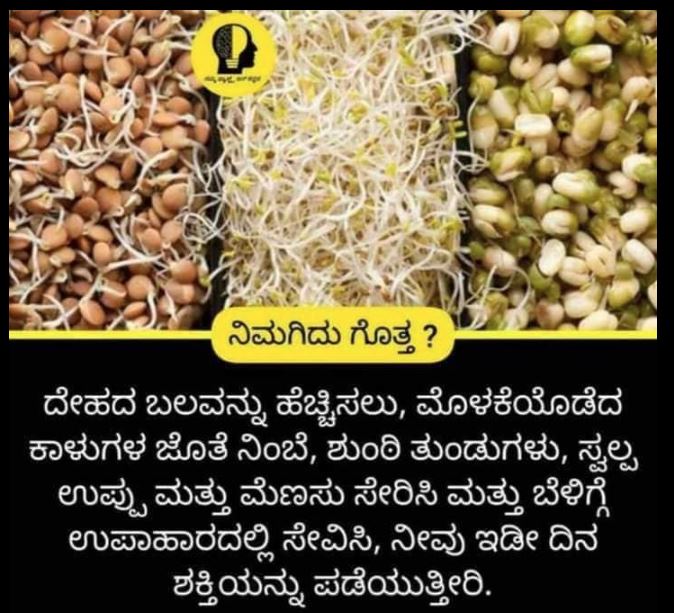 Fact Check: ಮೊಳಕೆ ಕಾಳುಗಳನ್ನು ತಿನ್ನುವುದರಿಂದ ದೇಹಕ್ಕೆ ಇಡೀ ದಿನ ಶಕ್ತಿ ಸಿಗುತ್ತದೆ ಎಂಬುದು ನಿಜವೇ?