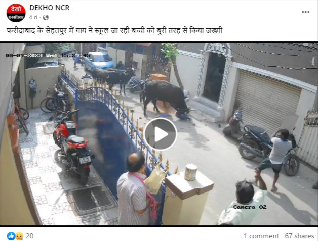 फरीदाबाद के सेहतपुर में गाय ने स्कूल जा रही बच्ची को बुरी तरह से घायल कर दिया.
