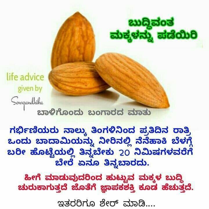 Fact Check: ಗರ್ಭಿಣಿಯರು ಪ್ರತಿ ದಿನ ಬಾದಾಮಿ ತಿಂದರೆ ಹುಟ್ಟುವ ಮಕ್ಕಳ ಬುದ್ಧಿ ಚುರುಕಾಗುತ್ತದೆ ಎಂಬುದು ನಿಜವೇ?