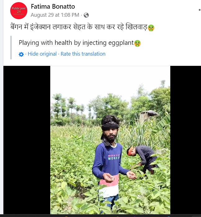 Fatima Bonatto's post