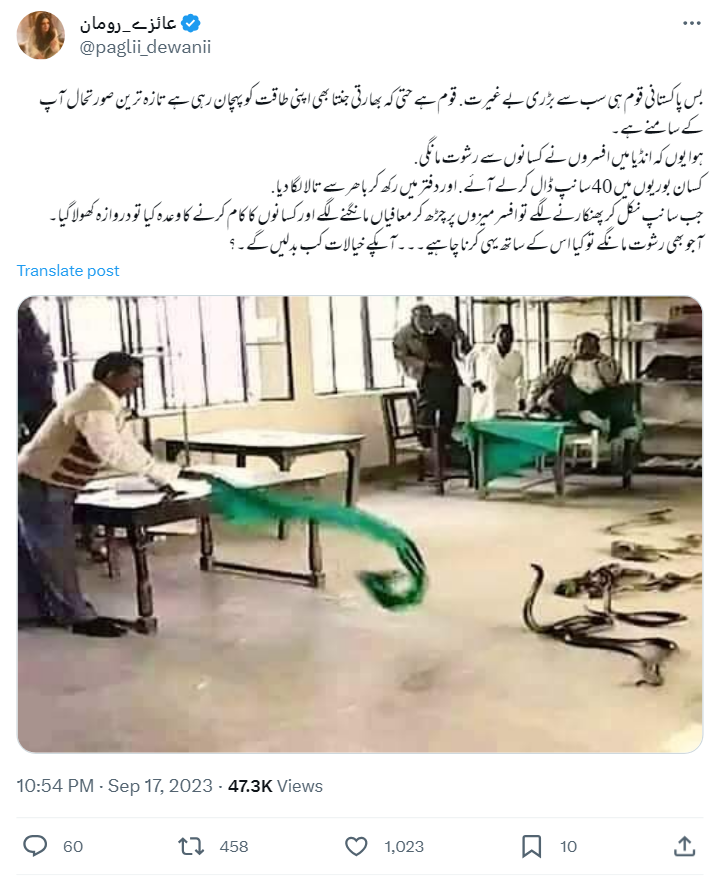 دفتر میں چھوڑے گئے سانپوں کی یہ تصویر 12 سال پرانی ہے۔