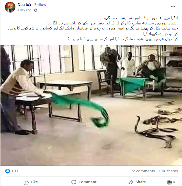 دفتر میں چھوڑے گئے سانپوں کی یہ تصویر 12 سال پرانی ہے۔