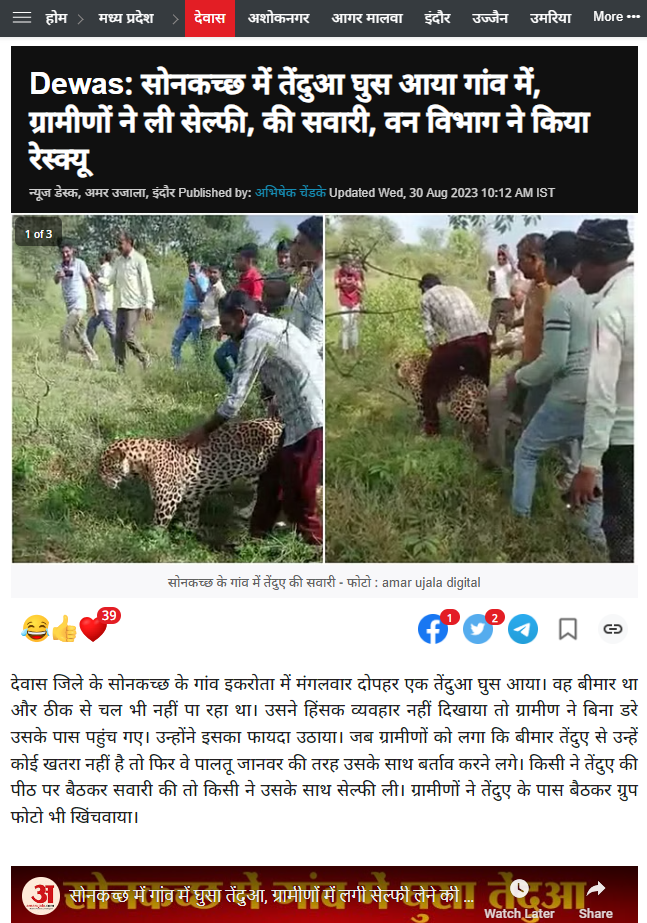 દીપડો દારૂ પી ગયો