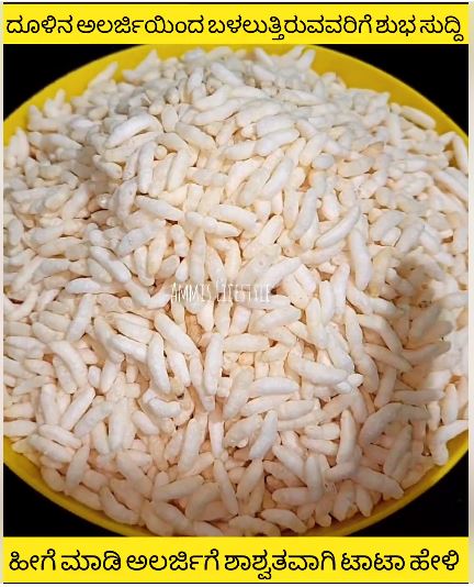 Fact Check: ಪ್ರತಿ ದಿನ ಒಂದು ಮುಷ್ಟಿ ಮಂಡಕ್ಕಿ ತಿನ್ನೋದ್ರಿಂದ ಧೂಳಿನ ಅಲರ್ಜಿ ಕಡಿಮೆಯಾಗುತ್ತಾ?