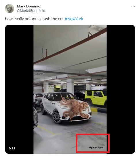 @Mark45dominic's tweet