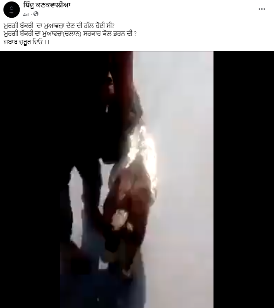 ਪੰਜਾਬ ਪੁਲਿਸ ਦੁਆਰਾ ਬੱਕਰੇ ਦਾ ਹਾਲ ਹੀ ਵਿੱਚ ਕਟਿਆ ਗਿਆ ਚਲਾਨ