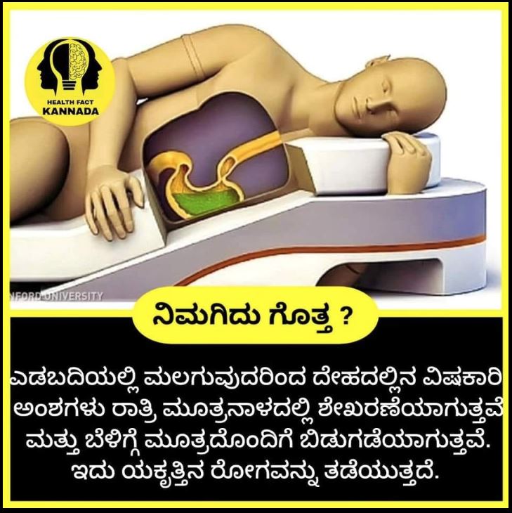 Fact Check: ಎಡಭಾಗದಲ್ಲಿ ಮಲಗಿದರೆ ಯಕೃತ್ತಿನ ಕಾಯಿಲೆ ಬರುವುದಿಲ್ಲ ಎಂಬುದು ನಿಜವೇ?