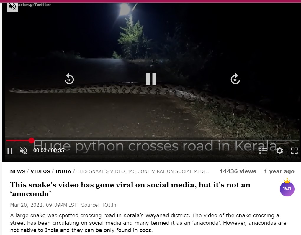 Times of India's video
