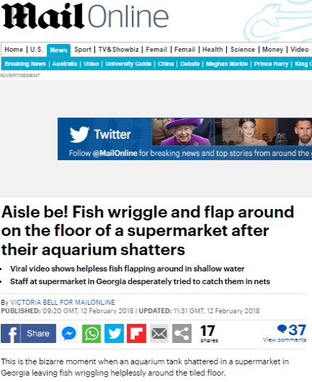 Screen shot by Daily Mail