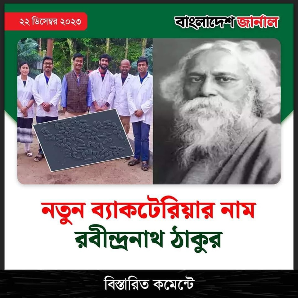 Pantoea Tagorei image 1