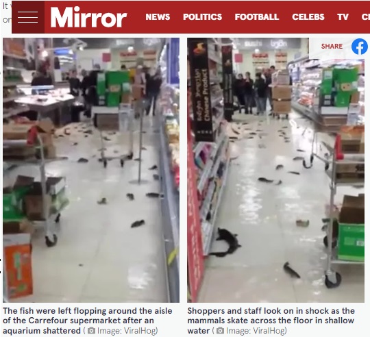 Screen shot by Mirror