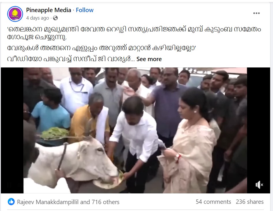 Pineapple Media's Post