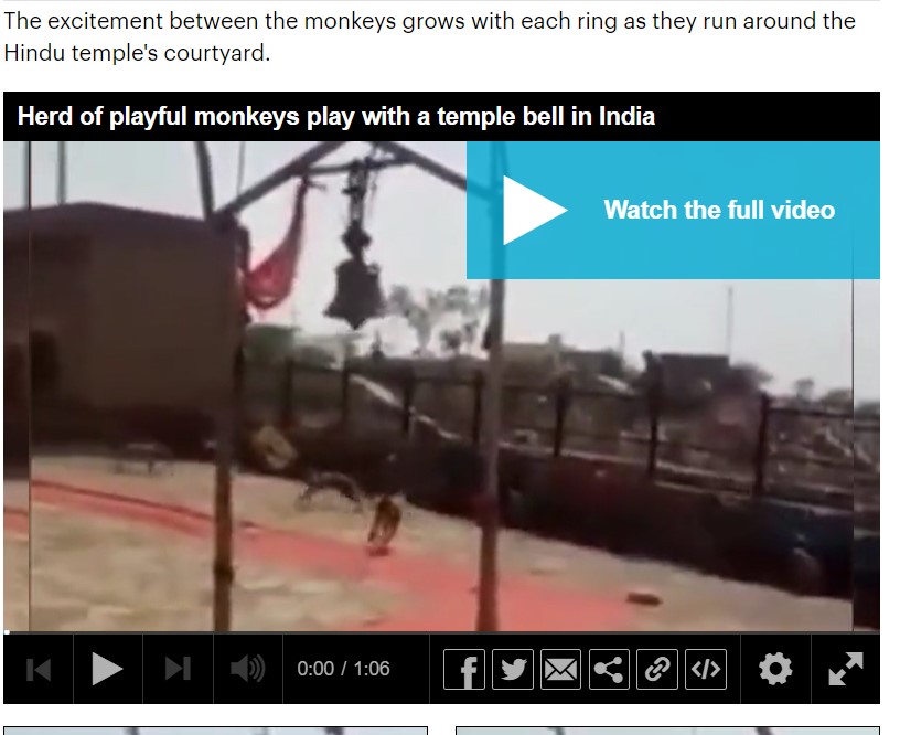 Screen grab of Report by Daily Mail