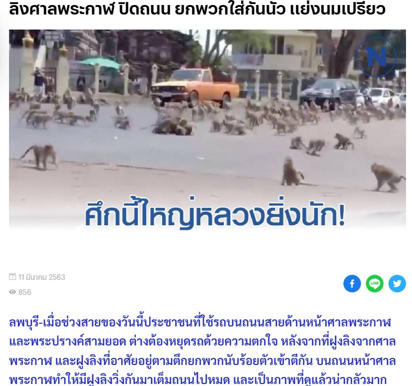 Fact Check: ಅಯೋಧ್ಯೆಯಲ್ಲಿ ಭಾರೀ ಸಂಖ್ಯೆಯಲ್ಲಿ ವಾನರ ಸೇನೆ ಕಂಡುಬಂದಿದೆ ಎನ್ನುವುದು ನಿಜವೇ