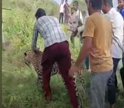 A screengrab of the fact check request received on our WhatsApp tipline