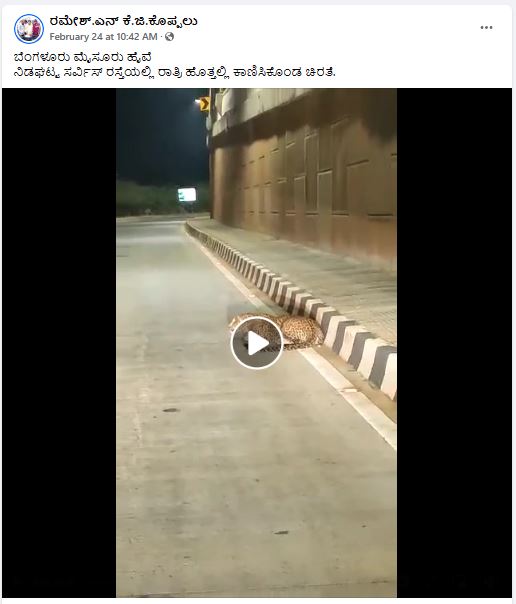 Fact Check: ಬೆಂಗಳೂರು-ಮೈಸೂರು ಹೈವೇಯಲ್ಲಿ ಚಿರತೆ ಕಾಣಿಸಿಕೊಂಡಿದೆ ಎಂದ ವೀಡಿಯೋ ಗದಗದ್ದು!
