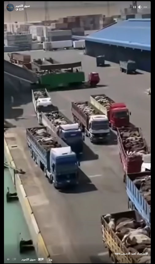 Fact Chek: ಗುಜರಾತ್ ಅದಾನಿ ಬಂದರಿನಲ್ಲಿ ಟ್ರಕ್ ಗಳಲ್ಲಿ ಹಸುಗಳನ್ನು ಅರಬ್ ದೇಶಕ್ಕೆ ಕಳಿಸಲಾಗುತ್ತಿದೆ ಎನ್ನುವುದು ನಿಜವೇ?