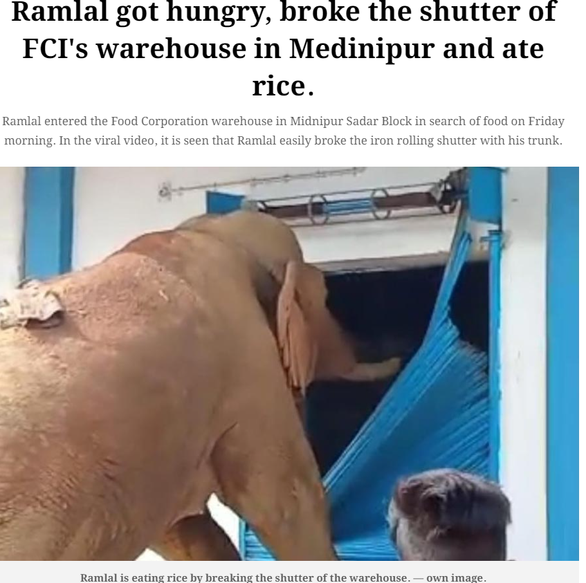 Elephant Breaking FCI 