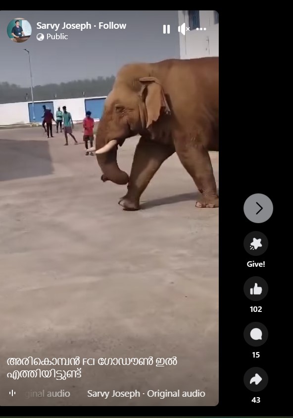 Sarvy Joseph's Reels