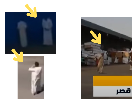 या व्हिडिओमध्ये अदानी बंदरात निर्यात करण्यासाठी आणलेल्या गायी आहेत का? हे आहे व्हायरल व्हिडिओमागील सत्य