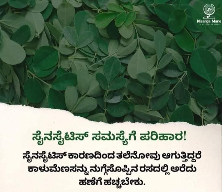 Fact Check: ಕಾಳುಮೆಣಸು-ನುಗ್ಗೆಸೊಪ್ಪಿನ ಪೇಸ್ಟ್ ಹಣೆಗೆ ಹಚ್ಚುವುರಿಂದ ಸೈನಸೈಟಿಸ್‌ ತಲೆನೋವು ಗುಣವಾಗುತ್ತಾ?