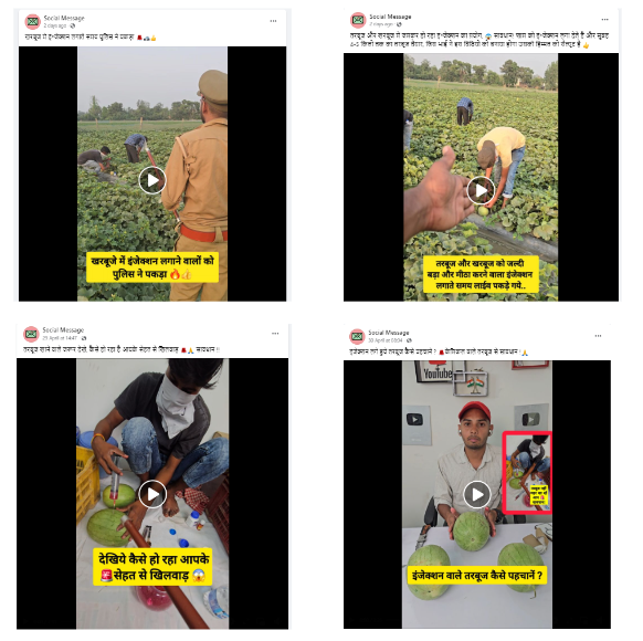 Fact Check: कलिंगडामध्ये इंजेक्शन टोचणाऱ्याला पोलिसांनी पकडले का? व्हायरल व्हिडिओ स्क्रिप्टेड आहे