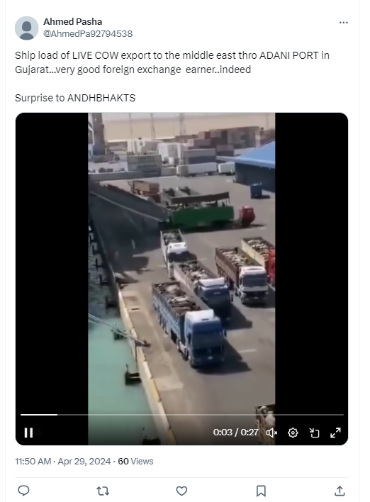 या व्हिडिओमध्ये अदानी बंदरात निर्यात करण्यासाठी आणलेल्या गायी आहेत का? हे आहे व्हायरल व्हिडिओमागील सत्य