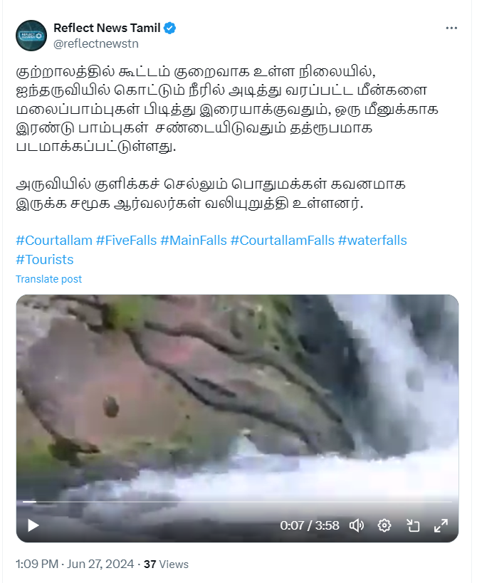 குற்றால அருவில் மலைப்பாம்புகள் மீனுக்காக சண்டையிட்டதாக பரவும் வீடியோத்தகவல்
