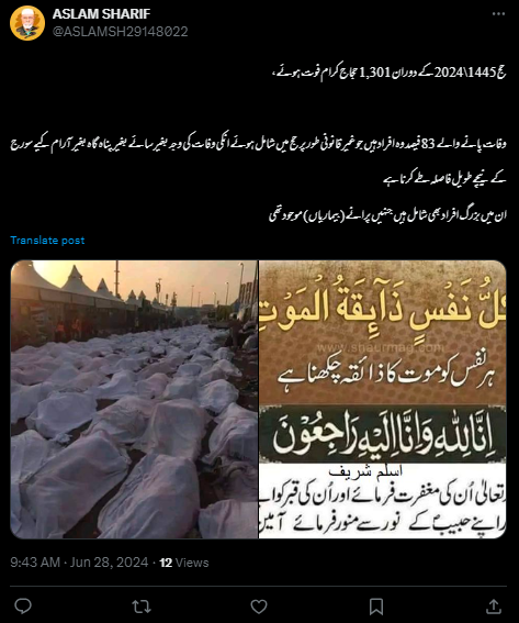  یہ تصویر حج 2024 میں شدید گرمی کے باعث ہوئی حاجیوں کے اموات کی نہیں بلکہ 2015 کی ہے۔