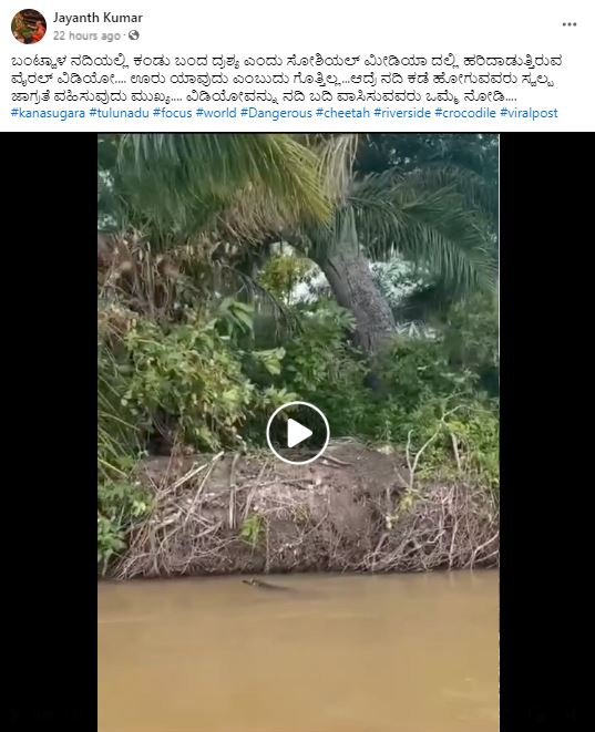 Fact Check: ಬಂಟ್ವಾಳ ನದಿಯಲ್ಲಿ ಚಿರತೆ ಮೊಸಳೆ ಹಿಡಿದ ದೃಶ್ಯ ಎಂದ ವೈರಲ್ ವೀಡಿಯೋ ದಕ್ಷಿಣ ಅಮೆರಿಕದ್ದು!
