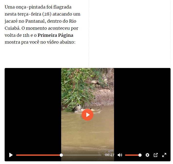 Fact Check: ಬಂಟ್ವಾಳ ನದಿಯಲ್ಲಿ ಚಿರತೆ ಮೊಸಳೆ ಹಿಡಿದ ದೃಶ್ಯ ಎಂದ ವೈರಲ್ ವೀಡಿಯೋ ದಕ್ಷಿಣ ಅಮೆರಿಕದ್ದು!